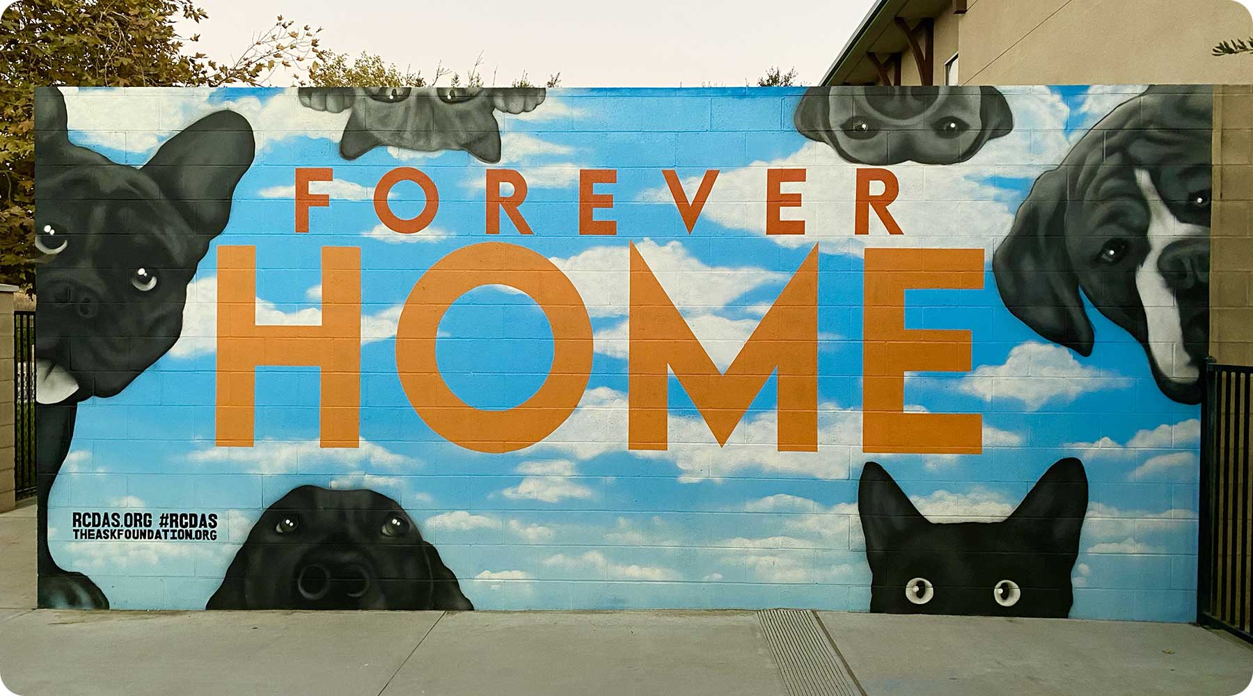 A photo of the Forever Home mural at the Western Riverside shelter.